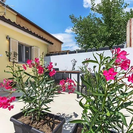 別荘 In Ripenda Kras, Labin Ripenda Kras